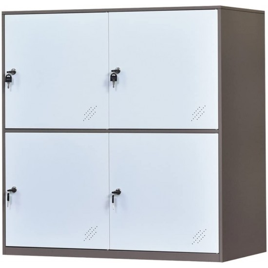 Calin 2D Metal Locker, Office Cabinet Locker,Living Room and School Locker Organize
